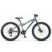 Stels Adrenalin 24MD